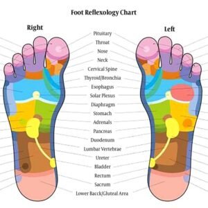 Foot reflexology chart Q640 2 300x300 - FOOT REFLEXOLEGY VARKALA